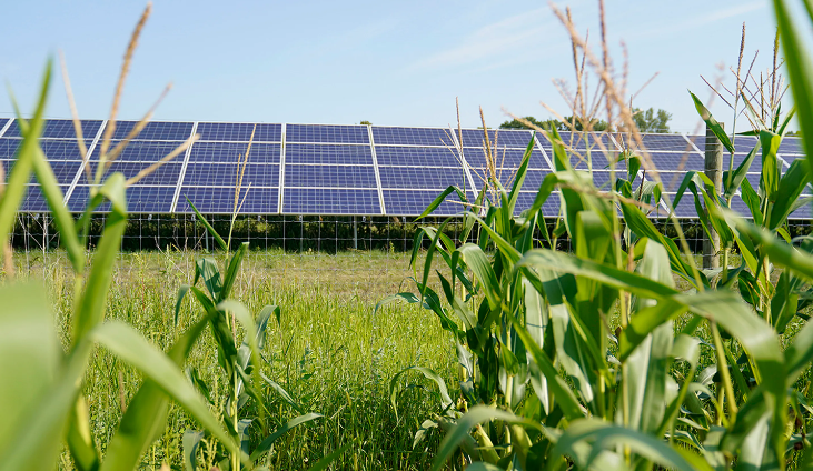 Solar farms and arrays to be reviewed by Sussex County Council